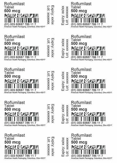 500 Mcg Roflumilast Tablet Blister (500 Mcg Roflumilast Tablet Blister)